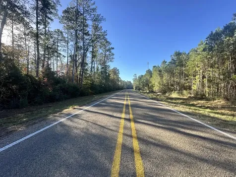Lot 2 E Fm 942 Livingston TX 77351