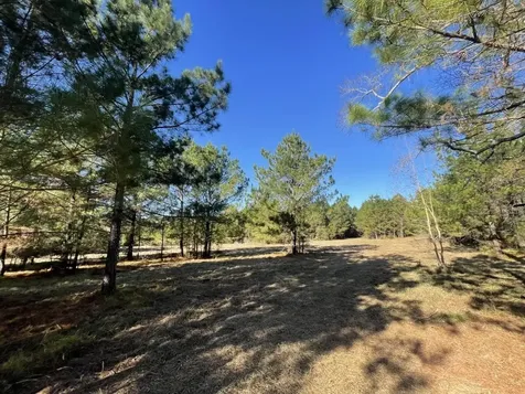 Lot 2 E Fm 942 Livingston TX 77351