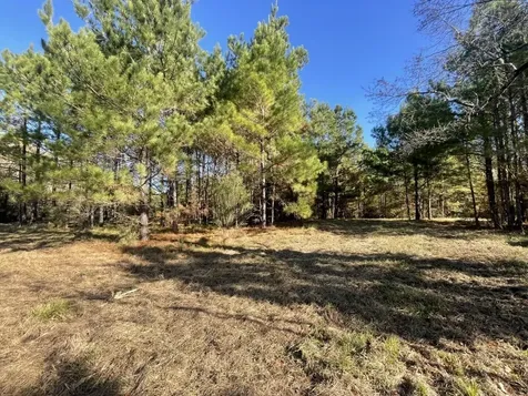 Lot 2 E Fm 942 Livingston TX 77351