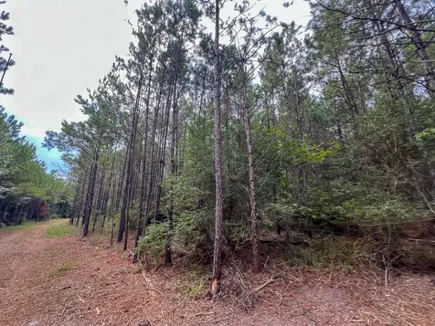 3 Fm 1987 Corrigan TX 77351