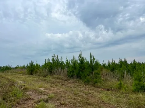 3 Fm 1987 Corrigan TX 77351
