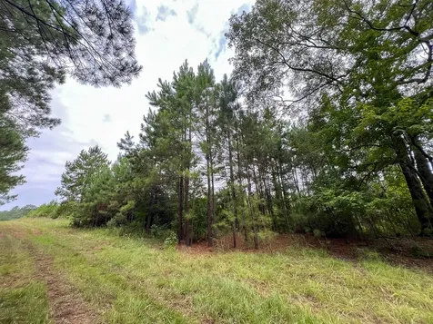 3 Fm 1987 Corrigan TX 77351