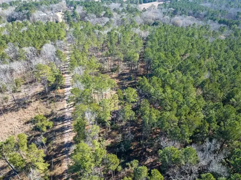 Tbd O'quinn Road Pollok TX 75969