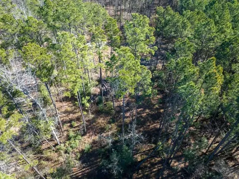 Tbd O'quinn Road Pollok TX 75969