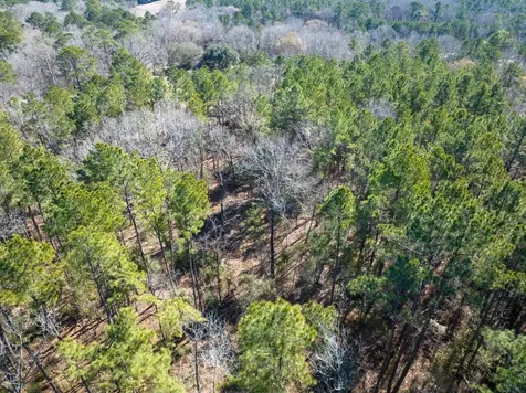 Tbd O'quinn Road Pollok TX 75969