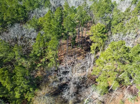 Tbd O'quinn Road Pollok TX 75969