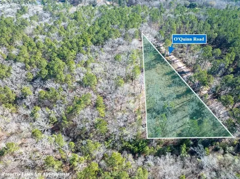 Tbd O'quinn Road Pollok TX 75969