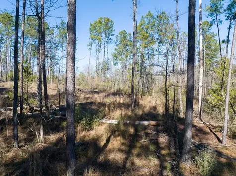 Tbd O'quinn Road Pollok TX 75969