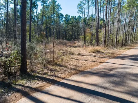 Tbd O'quinn Road Pollok TX 75969