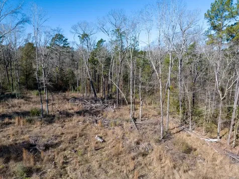 Tbd O'quinn Road Pollok TX 75969