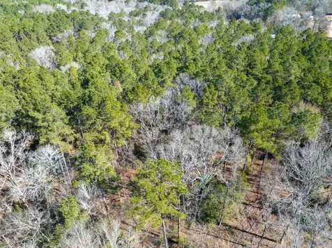 Tbd O'quinn Road Pollok TX 75969