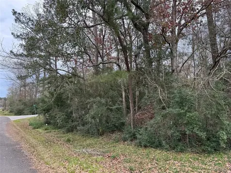 Lot 27-30 Dove Island Livingston TX 77351
