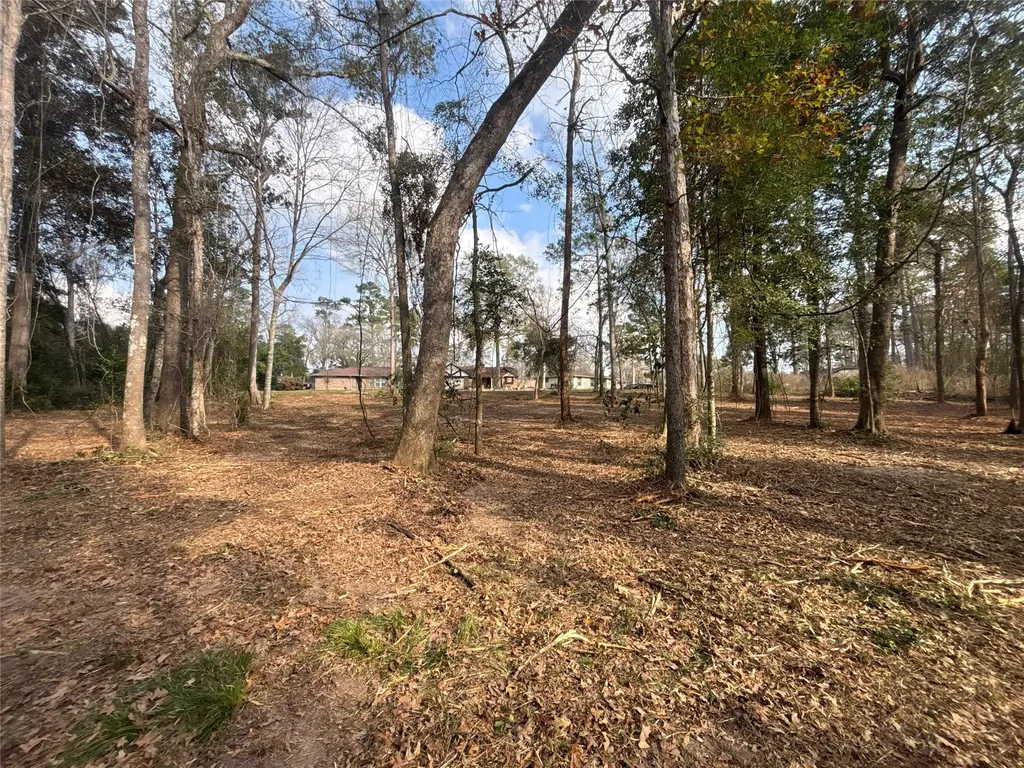 1738 Woodway Drive Woodbranch TX 77357