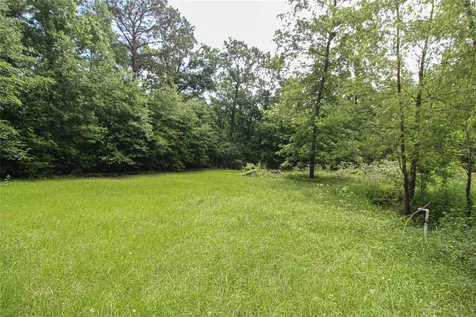 164 Tom Livingston TX 77351