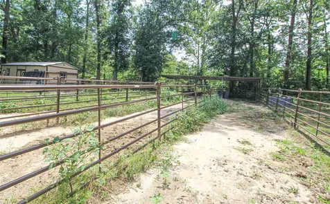 164 Tom Livingston TX 77351