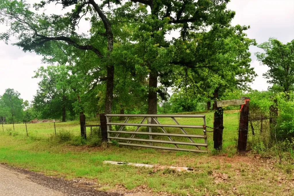 Tbd Fcr 421 W Buffalo TX 75831