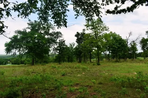 Tbd Fcr 421 W Buffalo TX 75831
