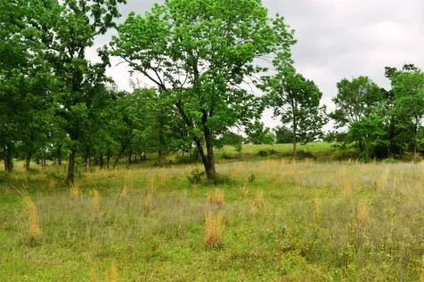 Tbd Fcr 421 W Buffalo TX 75831