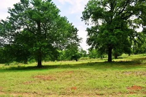 Tbd Fcr 421 W Buffalo TX 75831