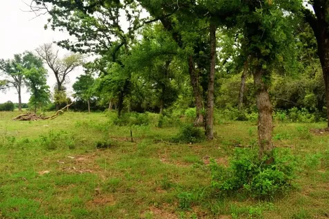 Tbd Fcr 421 W Buffalo TX 75831