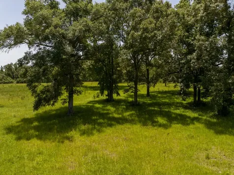 Tbd Live Oak Court Crockett TX 75835