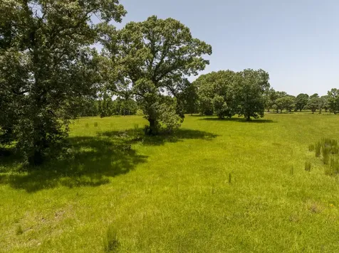 Tbd Live Oak Court Crockett TX 75835