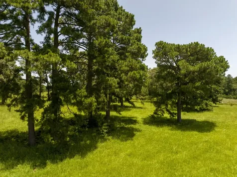 Tbd Live Oak Court Crockett TX 75835