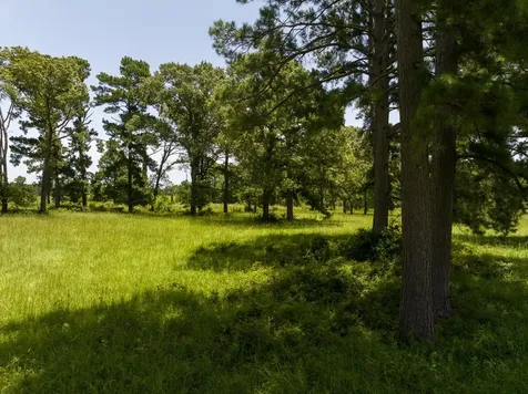 Tbd Live Oak Court Crockett TX 75835