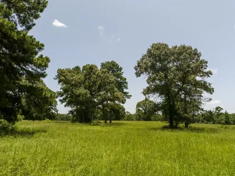 Tbd Live Oak Court Crockett TX 75835