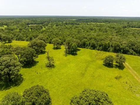 Tbd Live Oak Court Crockett TX 75835