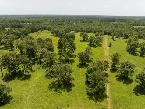 Tbd Live Oak Court Crockett TX 75835