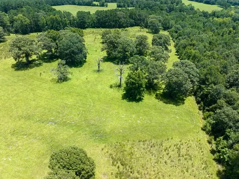 Tbd Live Oak Court Crockett TX 75835