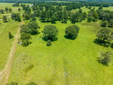 Tbd Live Oak Court Crockett TX 75835