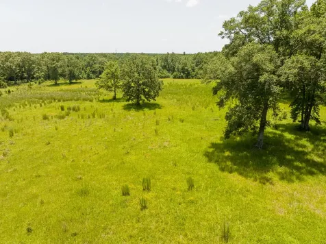 Tbd Live Oak Court Crockett TX 75835
