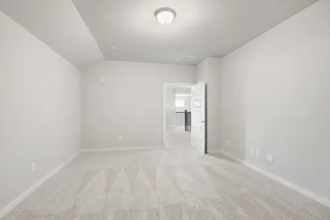 2124 Golden Spruce Court Waller TX 77484