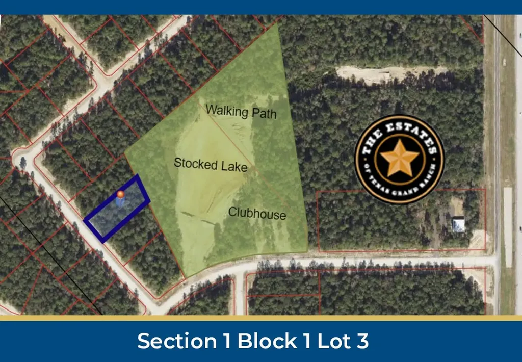 126 Hollow Hill Drive New Waverly TX 77358