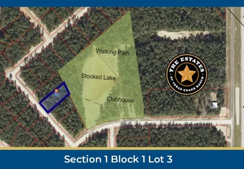 126 Hollow Hill Drive New Waverly TX 77358