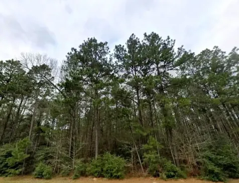 126 Hollow Hill Drive New Waverly TX 77358