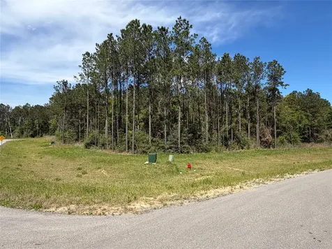 15648 Cricket Creek Court Willis TX 77378