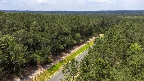 Tbd 11b Timberland Branch Drive Woodville TX 75979
