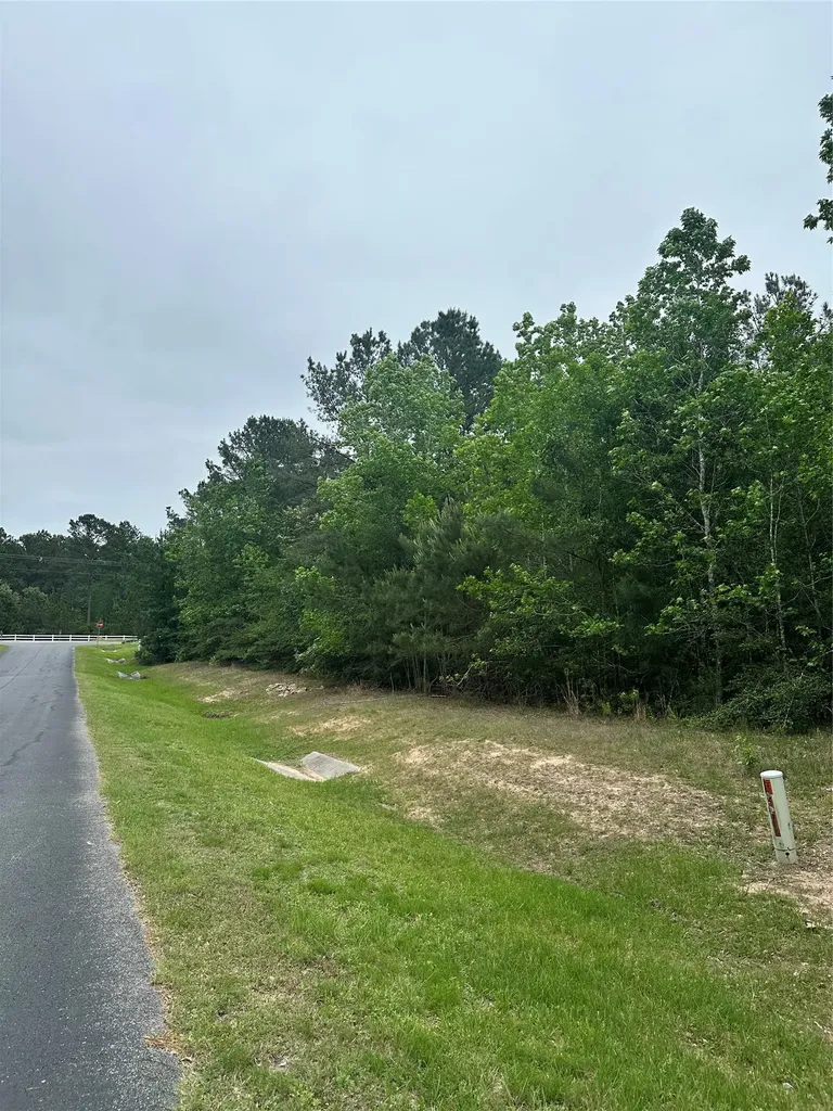 28117 Horse Shoe Lane Waller TX 77484