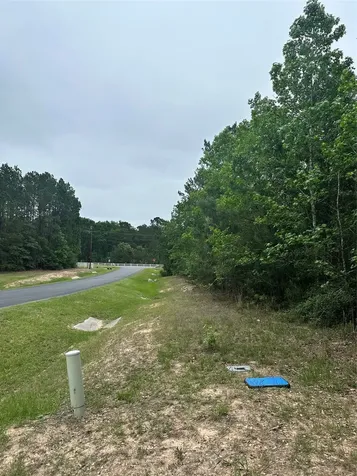 28117 Horse Shoe Lane Waller TX 77484
