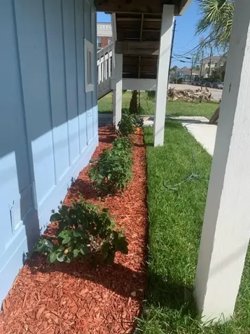 114 17th Street Street Galveston TX 77550