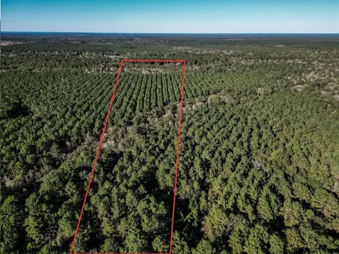 0 County Road 2125 Cleveland TX 77327