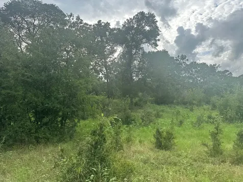 8616 Schuster Road Ledbetter TX 78946
