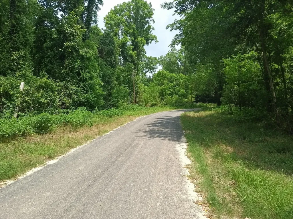 0 Tbd County Road 2859 Cleveland TX 77327