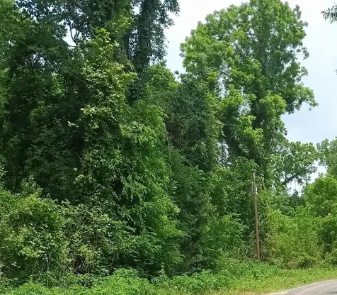 0 Tbd County Road 2859 Cleveland TX 77327