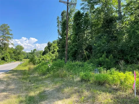 14-37-1 Dipping Vat Road New Waverly TX 77358