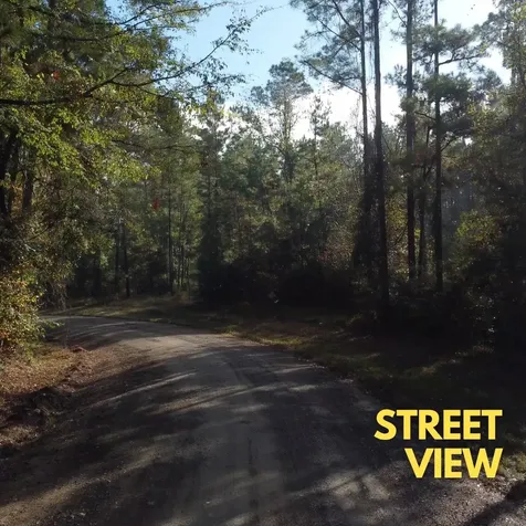- Lakeview Estates Drive Coldspring TX 77331