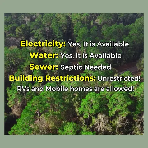 - Lakeview Estates Drive Coldspring TX 77331